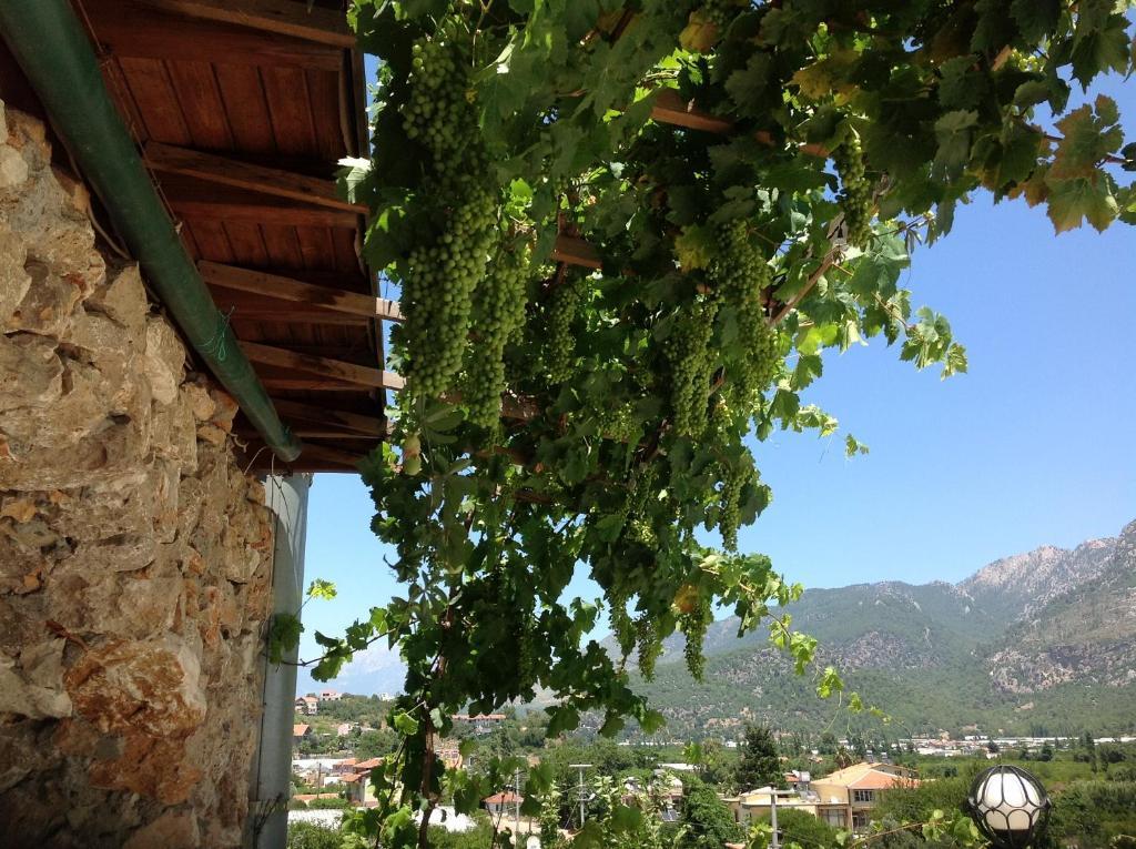 Adrasan Kybele Hotel Bagian luar foto